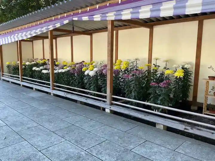 砥鹿神社(里宮)(愛知県)