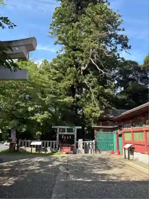 大杉神社(茨城県)
