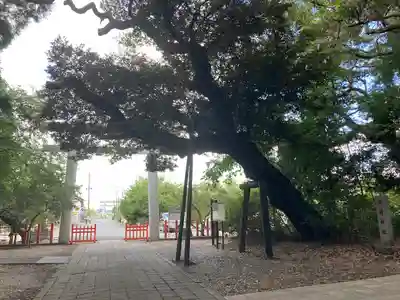息栖神社(茨城県)