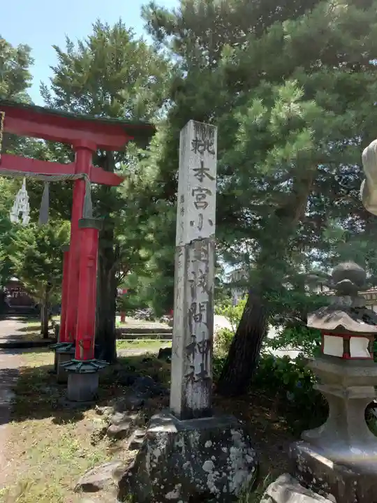 北東本宮小室浅間神社(山梨県)