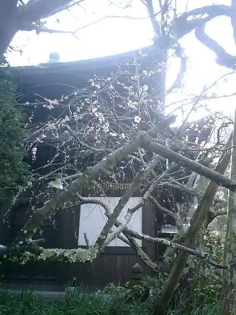 瑞泉寺のその他建物