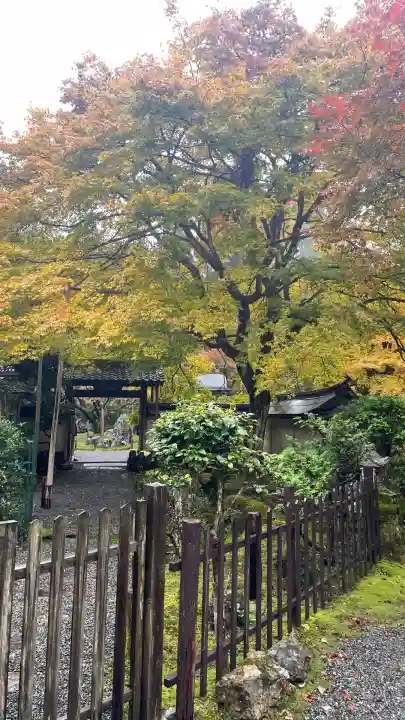 常照皇寺(京都府)