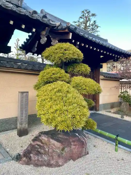蓮花寺の{uncategorized: "未分類", other: "その他", undefined: "問題あり", building: "その他建物", grave: "お墓", sacred_gate: "鳥居", guardian: "狛犬", statue: "像", buddha: "仏像", history: "歴史", nature: "自然", garden: "庭園", animal: "動物", pagoda: "塔", temizu: "手水舎", mountain_gate: "山門・神門", sanctuary: "本殿・本堂", subordinate: "末社・摂社", art: "芸術", scenery: "景色", jizo: "地蔵", ema: "絵馬", goshuin: "御朱印", omikuji: "おみくじ", items: "授与品その他", amulet: "お守り", goshuincho: "御朱印帳", eats: "食事", festival: "お祭り", votive_dance: "神楽", shichigosan: "七五三参", wedding: "結婚式", experience: "体験その他", initially: "初詣", around: "周辺", anti_infection: "感染症対策"}