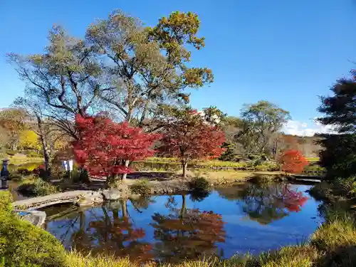 緑水神社の庭園