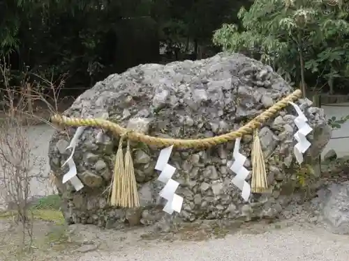 賀茂御祖神社（下鴨神社）の自然