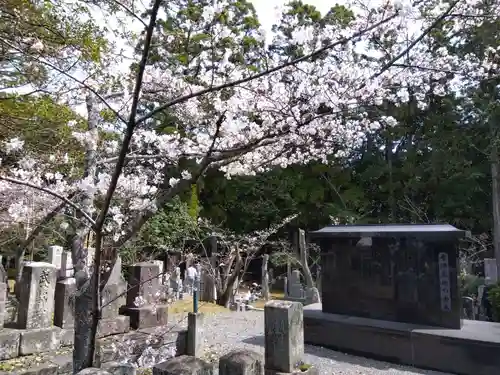 くろ谷 金戒光明寺(京都府)