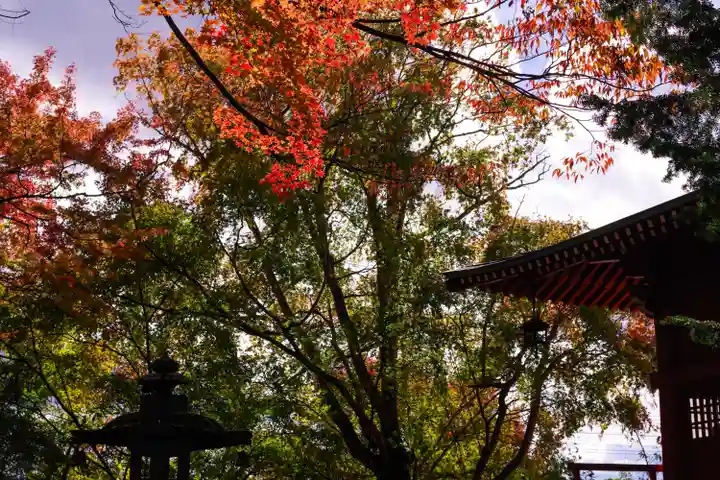 鼻顔稲荷神社(長野県)
