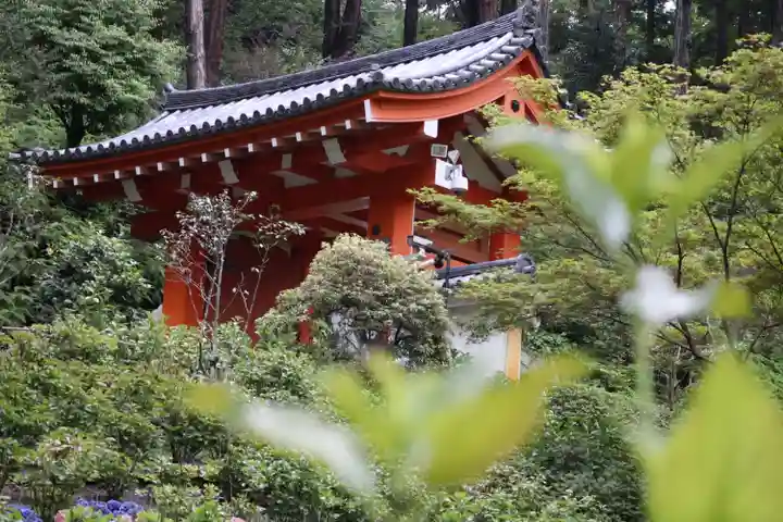 三室戸寺(京都府)