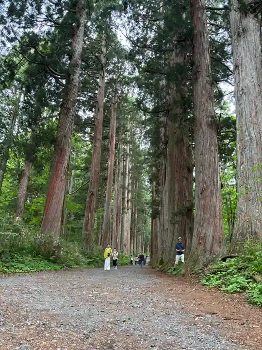 戸隠神社奥社(長野県)