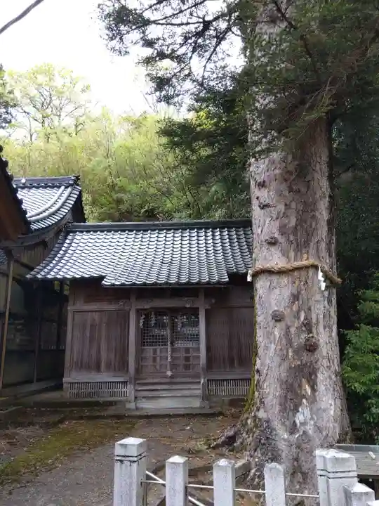 高雄神社(福井県)