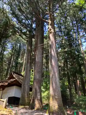 宝積山光前寺(長野県)