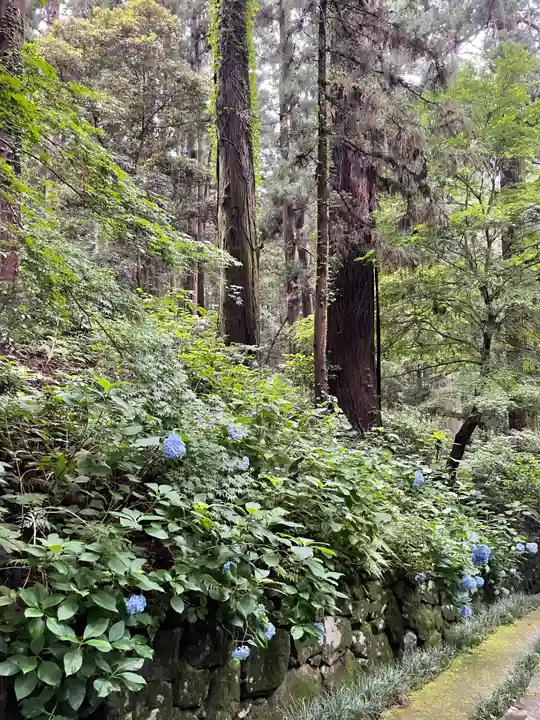 瑞鳳殿(宮城県)
