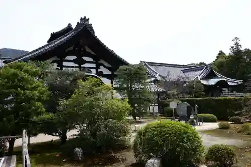 隨心院（随心院）(京都府)