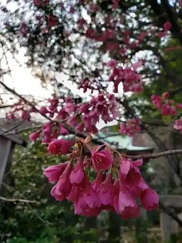 芝東照宮の自然