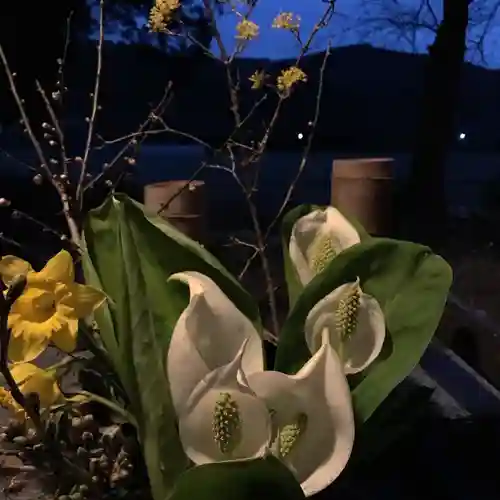 高司神社〜むすびの神の鎮まる社〜の自然