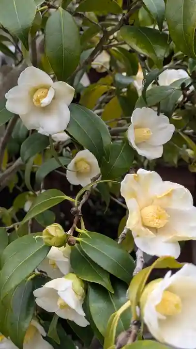 雲林院(京都府)