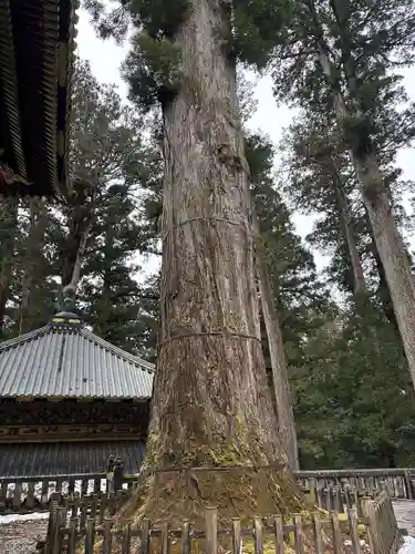 輪王寺薬師堂（本地堂）(栃木県)