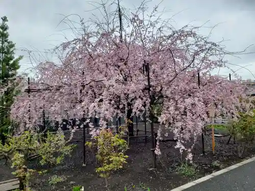 福蔵院(東京都)