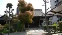 菩堤寺の本殿・本堂
