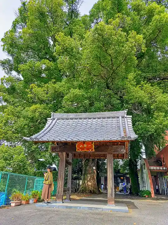 専念寺の山門・神門