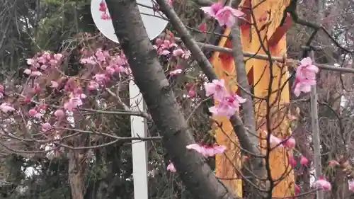 平野神社の自然