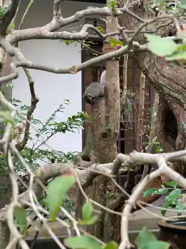 明月院の{uncategorized: "未分類", other: "その他", undefined: "問題あり", building: "その他建物", grave: "お墓", sacred_gate: "鳥居", guardian: "狛犬", statue: "像", buddha: "仏像", history: "歴史", nature: "自然", garden: "庭園", animal: "動物", pagoda: "塔", temizu: "手水舎", mountain_gate: "山門・神門", sanctuary: "本殿・本堂", subordinate: "末社・摂社", art: "芸術", scenery: "景色", jizo: "地蔵", ema: "絵馬", goshuin: "御朱印", omikuji: "おみくじ", items: "授与品その他", amulet: "お守り", goshuincho: "御朱印帳", eats: "食事", festival: "お祭り", votive_dance: "神楽", shichigosan: "七五三参", wedding: "結婚式", experience: "体験その他", initially: "初詣", around: "周辺", anti_infection: "感染症対策"}