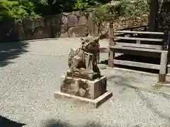 細川神社の狛犬