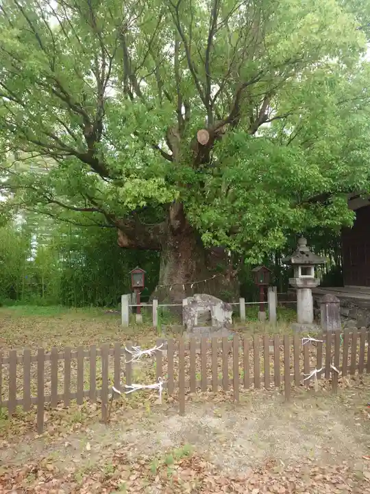 新田白山神社(愛知県)