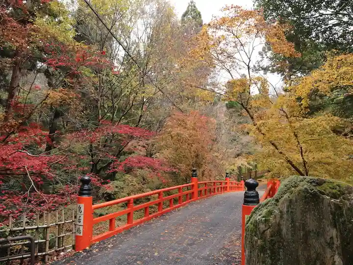 今熊野観音寺(京都府)