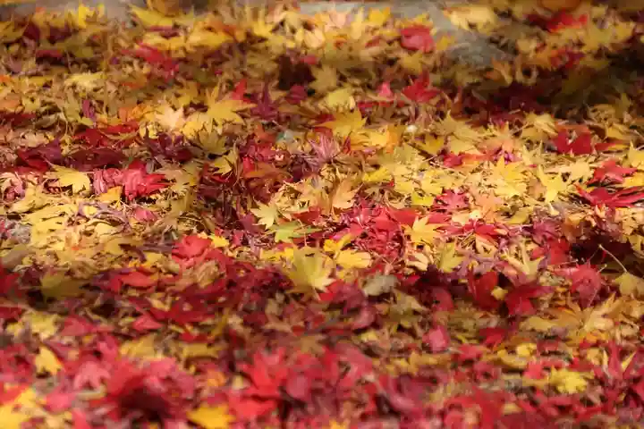 滑川神社 - 仕事と子どもの守り神の自然