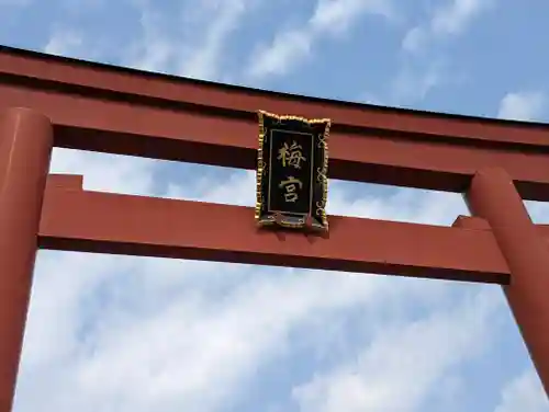 梅宮大社(京都府)