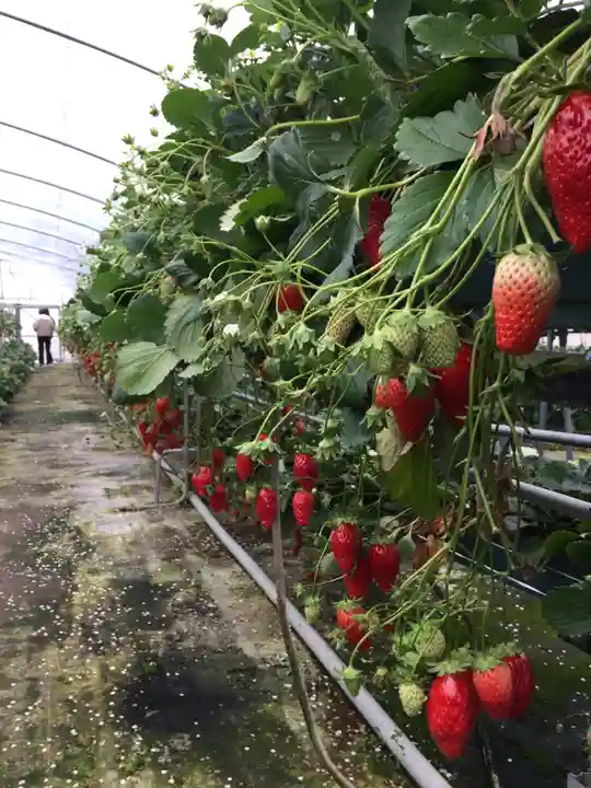 浪切不動院の周辺