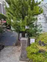 根生院(東京都)