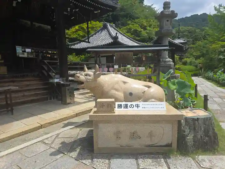 三室戸寺(京都府)
