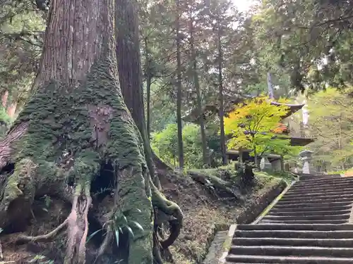 最乗寺（道了尊）(神奈川県)