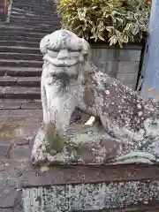 皇大神社の狛犬