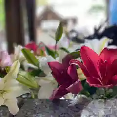 札幌諏訪神社の手水