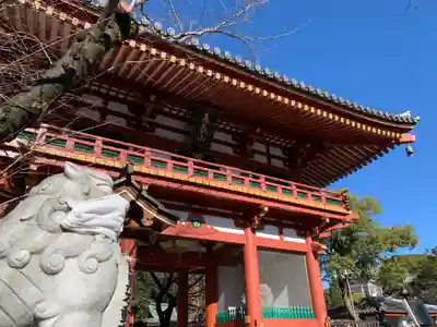 瀧泉寺(目黒不動尊)の山門・神門