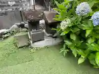 和多利稲荷(神奈川県)