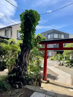 由比若宮（元鶴岡八幡宮）(神奈川県)