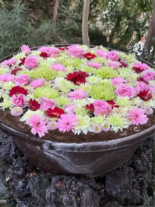 武蔵一宮氷川神社(埼玉県)