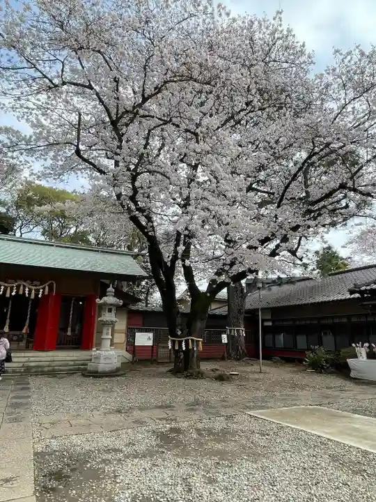 前原御嶽神社の自然