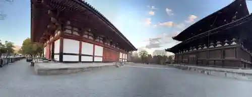 東寺（教王護国寺）(京都府)