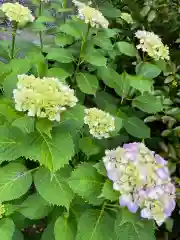 大生郷天満宮の自然