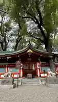 杭全神社の本殿・本堂