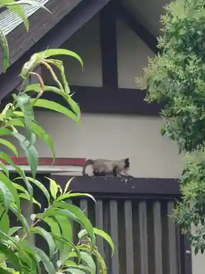 蘇我比咩神社(千葉県)