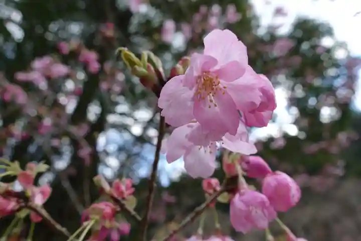 丹生川上神社(中社)の自然