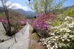 三峯神社の自然