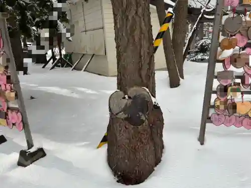 大谷地神社の自然