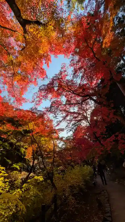 北野天満宮(京都府)